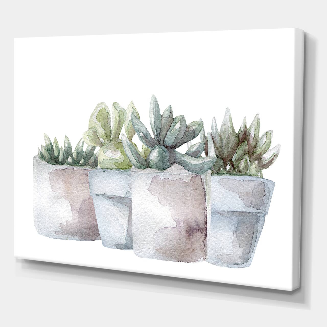 Designart - Cactus and Succulent House Plants III - Farmhouse Canvas Wall Art Print